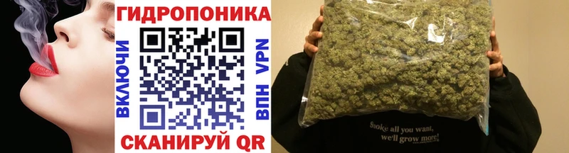 даркнет сайт  Олёкминск  Каннабис сатива 